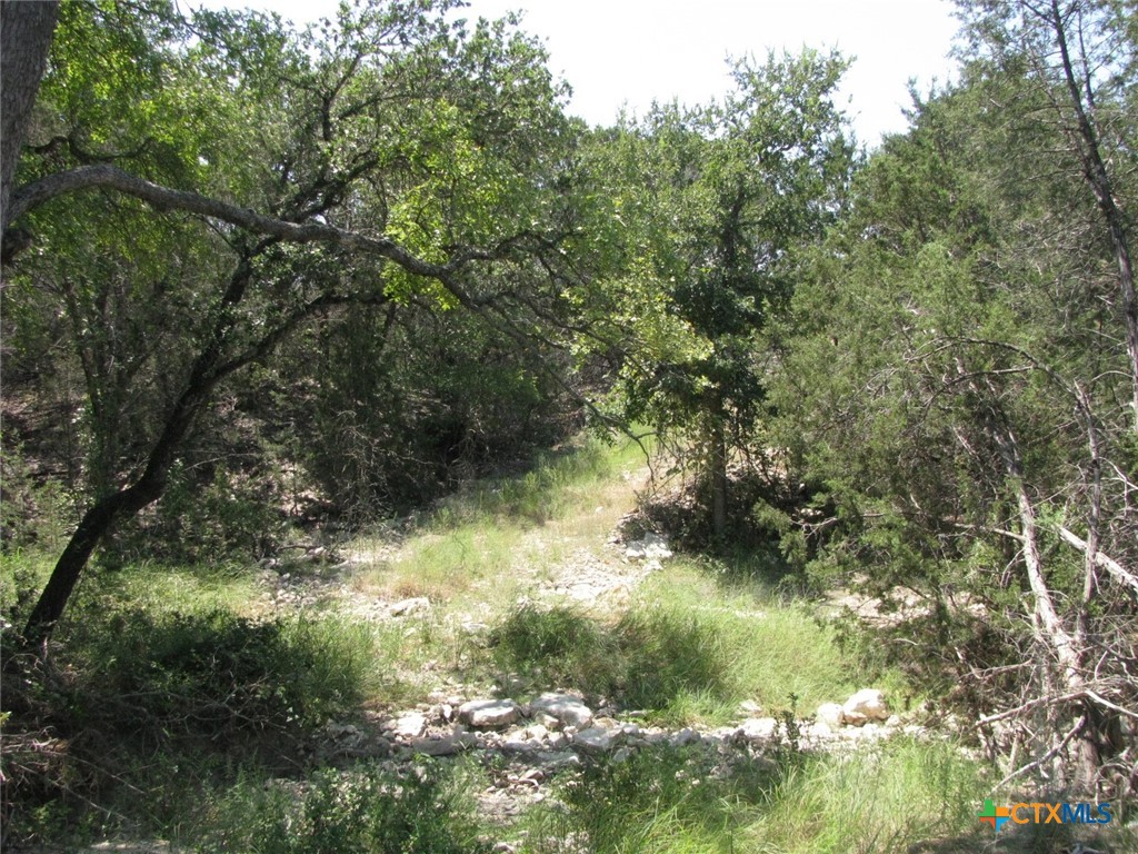 Lot 11 Ph 5 Private Road Property Photo 12