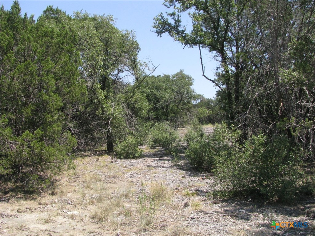 Lot 11 Ph 5 Private Road Property Photo 13