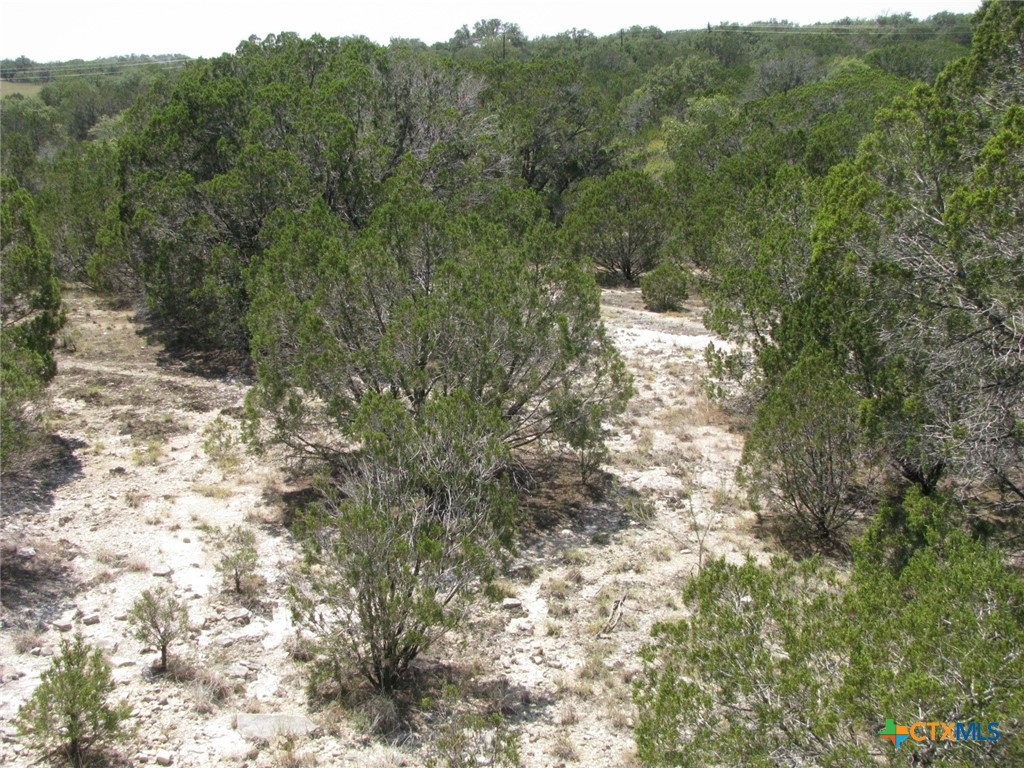 Lot 11 Ph 5 Private Road Property Photo 14