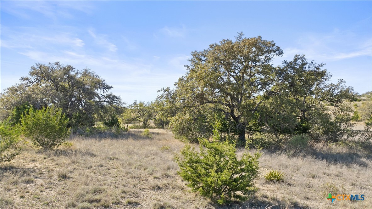 328 Cypress View Drive Property Photo 11