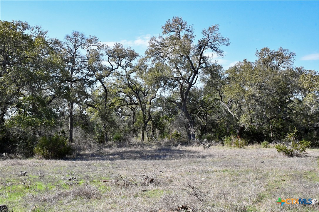 8841 Fm 306 Property Photo 5