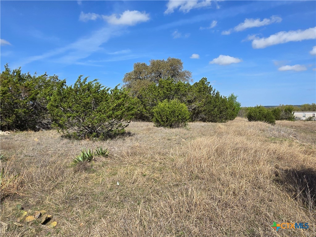 5930 Fm 3481 Property Photo 4