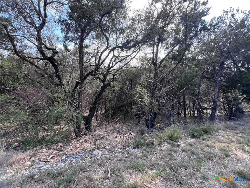4079 Sherwood Drive Property Photo 4
