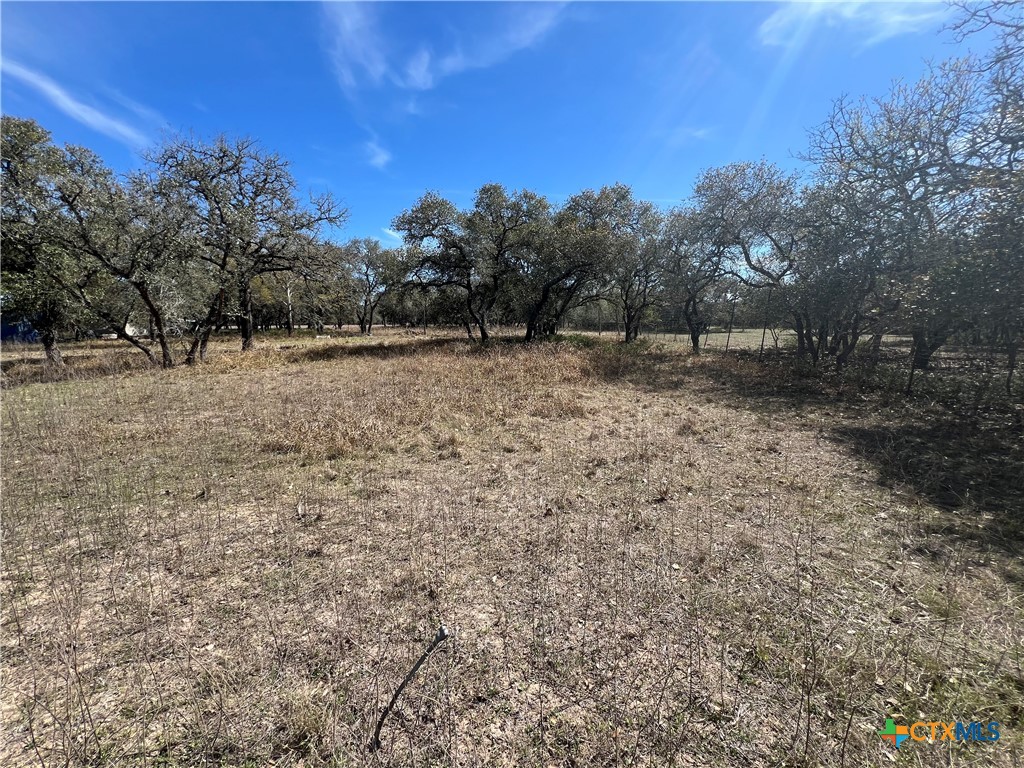 Tbd Private Road 1065 Property Photo 2
