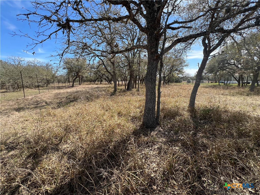 Tbd Private Road 1065 Property Photo 4