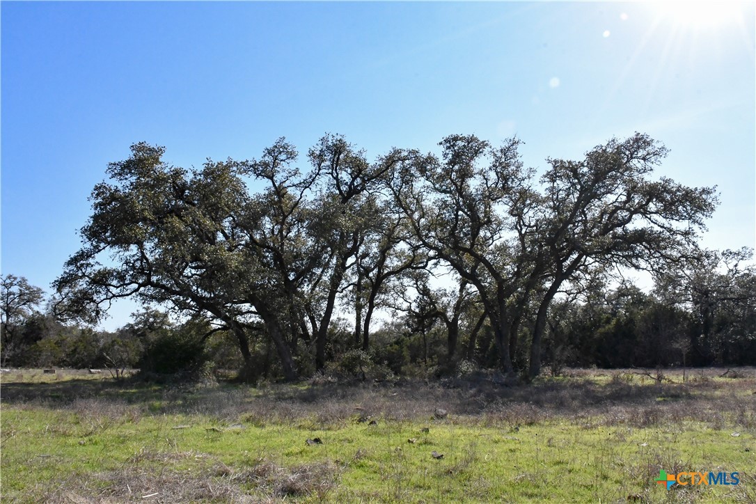 8841 Fm 306 Property Photo 4