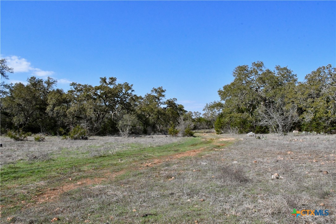 8841 Fm 306 Property Photo 5