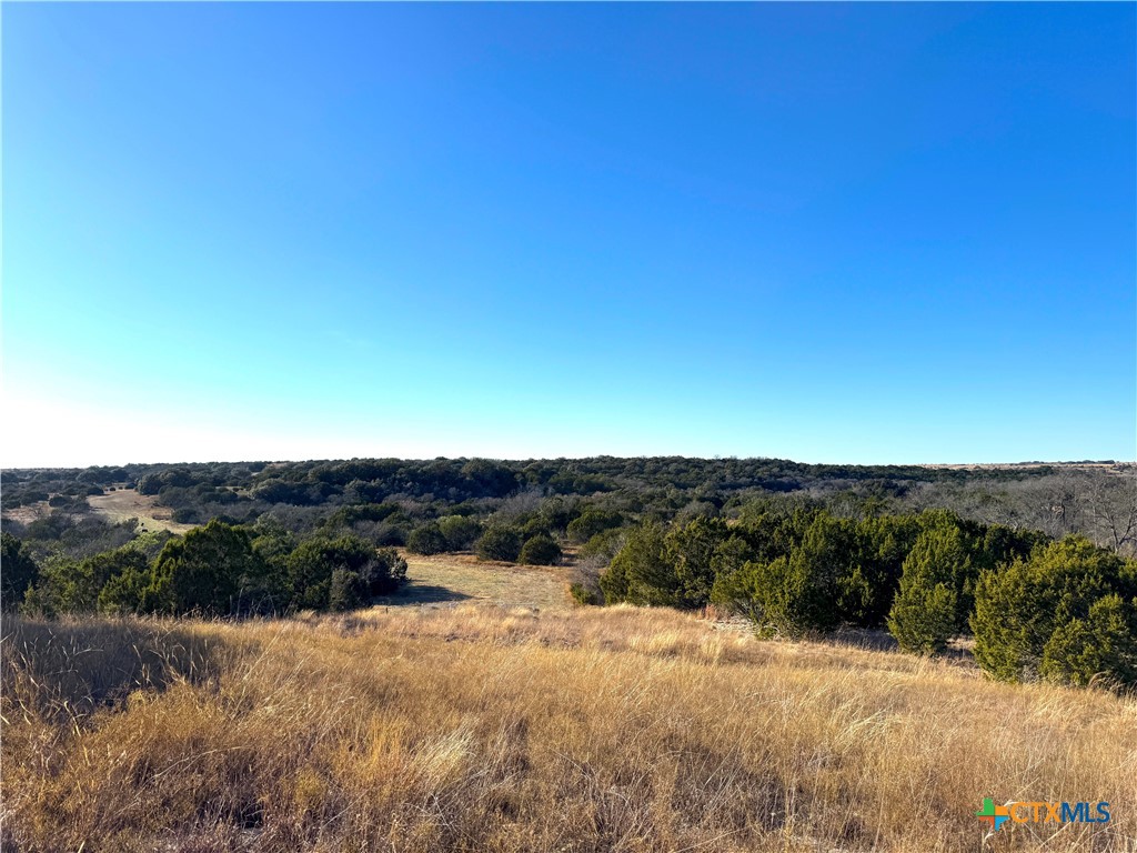 1782 Fm 218 Property Photo 26