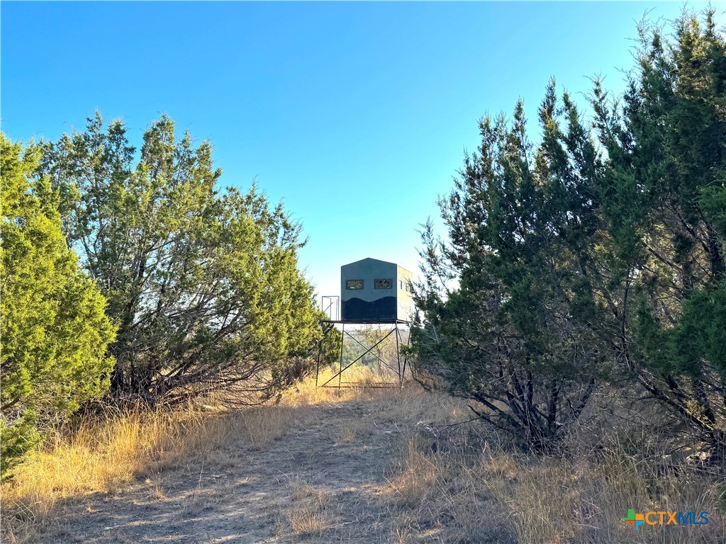 1782 Fm 218 Property Photo 29