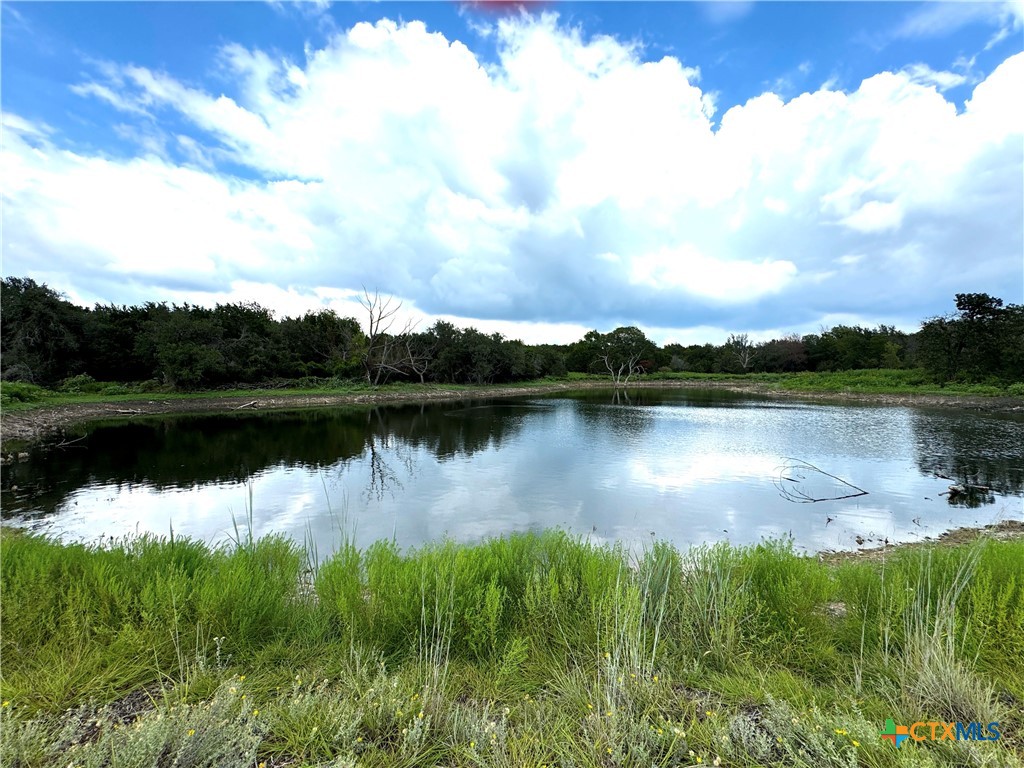 1782 Fm 218 Property Photo 31