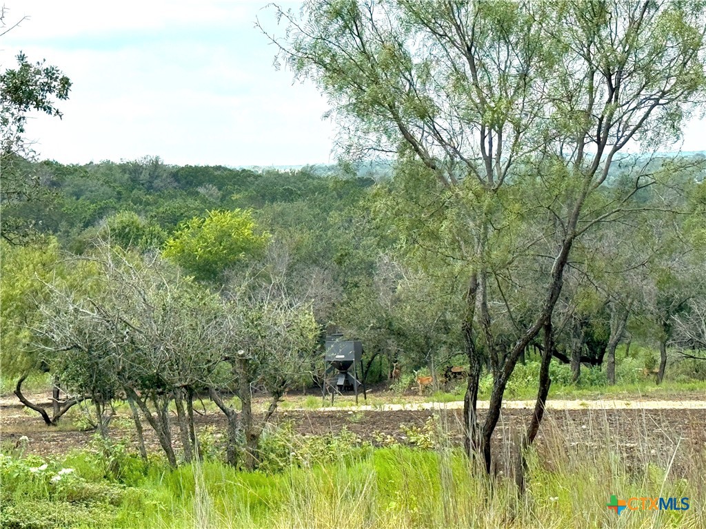 1782 Fm 218 Property Photo 36