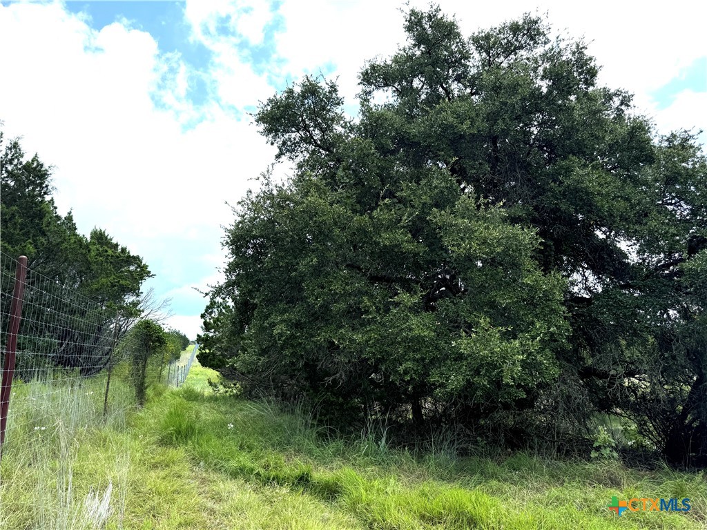 1782 Fm 218 Property Photo 37