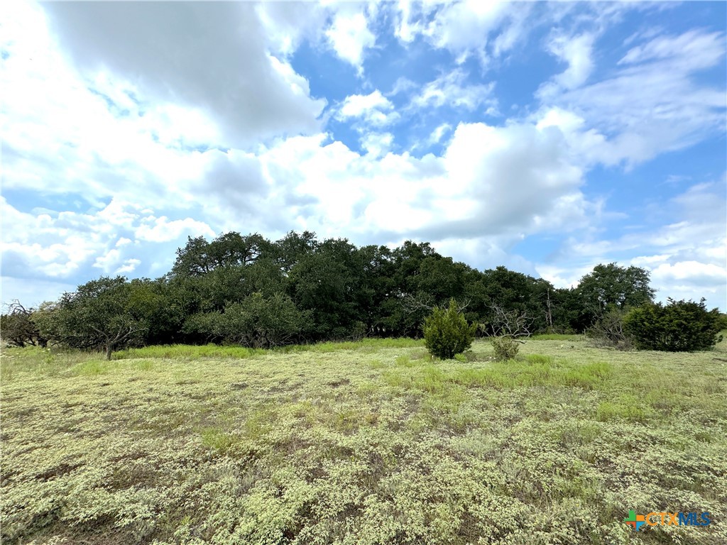 1782 Fm 218 Property Photo 38