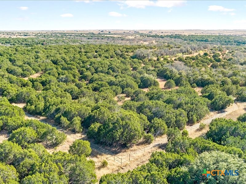 1782 Fm 218 Property Photo 43
