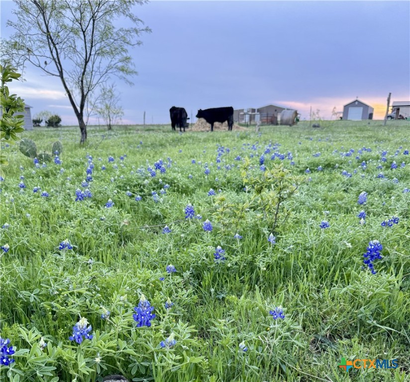 2332 2109 Property Photo 8