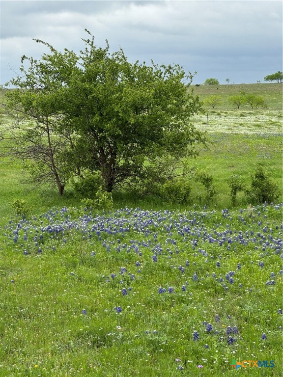 2332 2109 Property Photo 12
