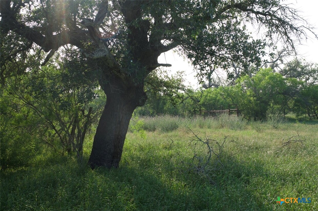 Tbd Taylorsville Road Property Photo 2