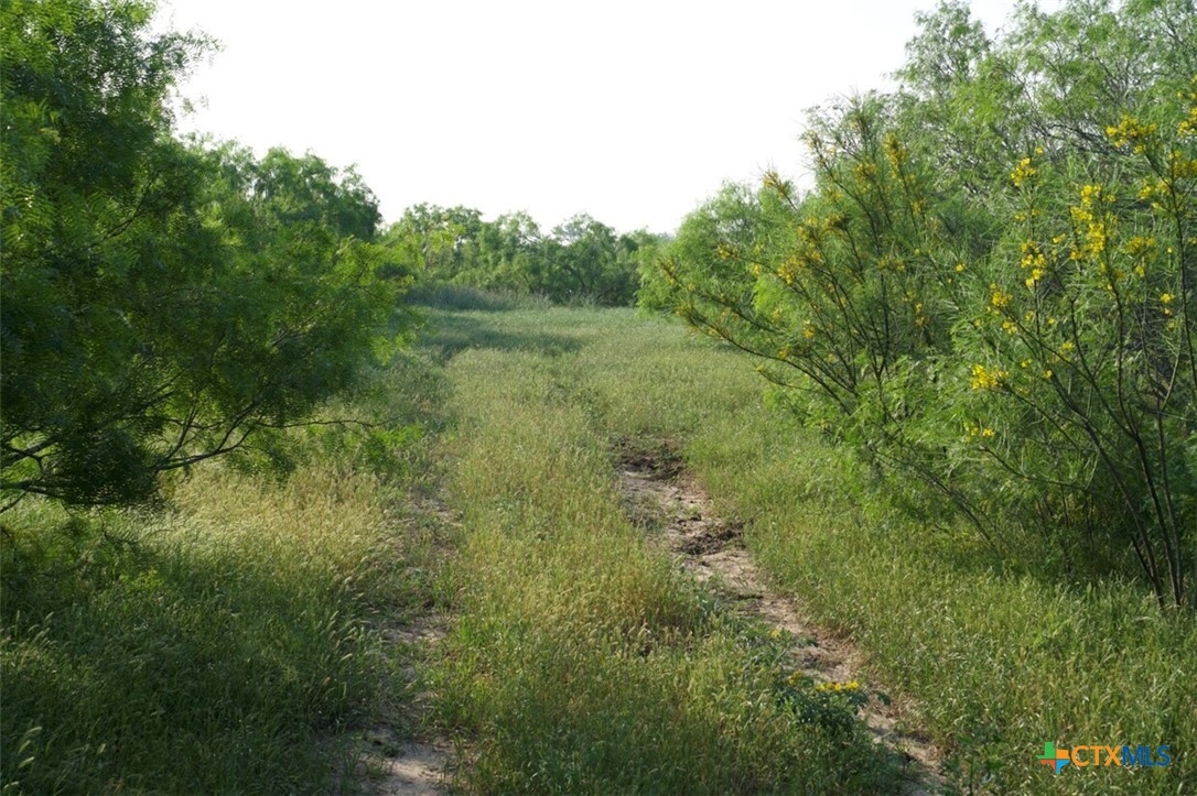 Tbd Taylorsville Road Property Photo 3