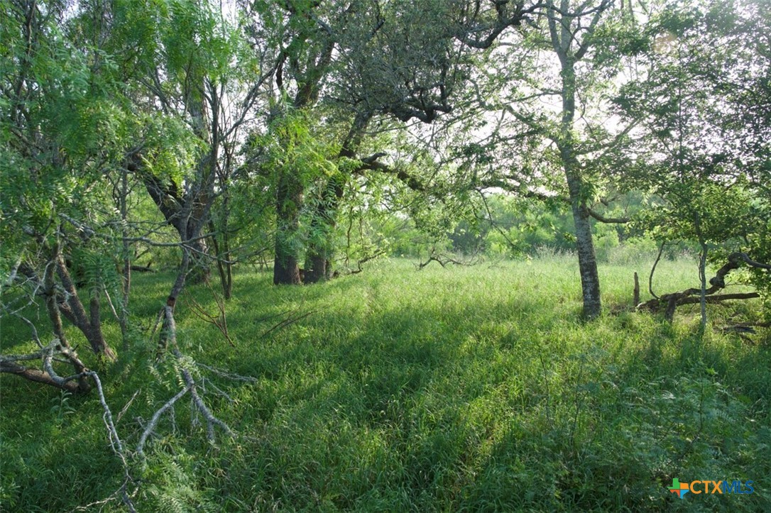Tbd Taylorsville Road Property Photo 4
