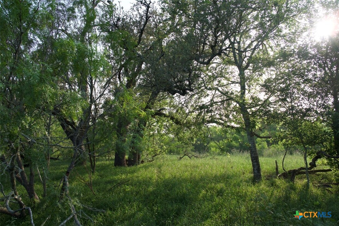 Tbd Taylorsville Road Property Photo 9