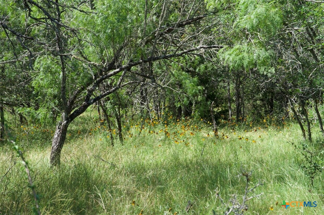 Tbd Taylorsville Road Property Photo 12