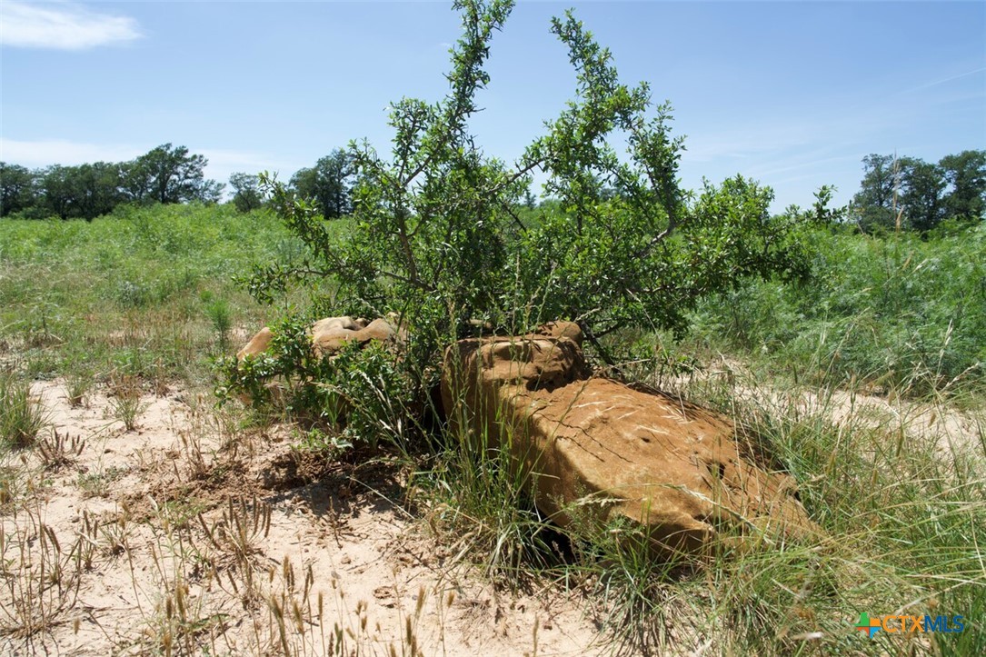 Tbd Taylorsville Road Property Photo 21