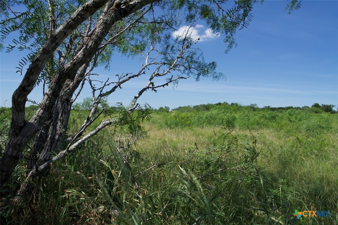 Tbd Taylorsville Road Property Photo 22