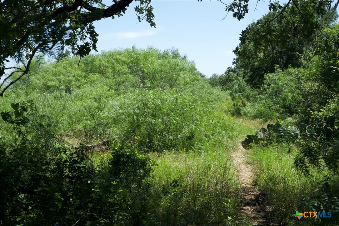 Tbd Taylorsville Road Property Photo 23