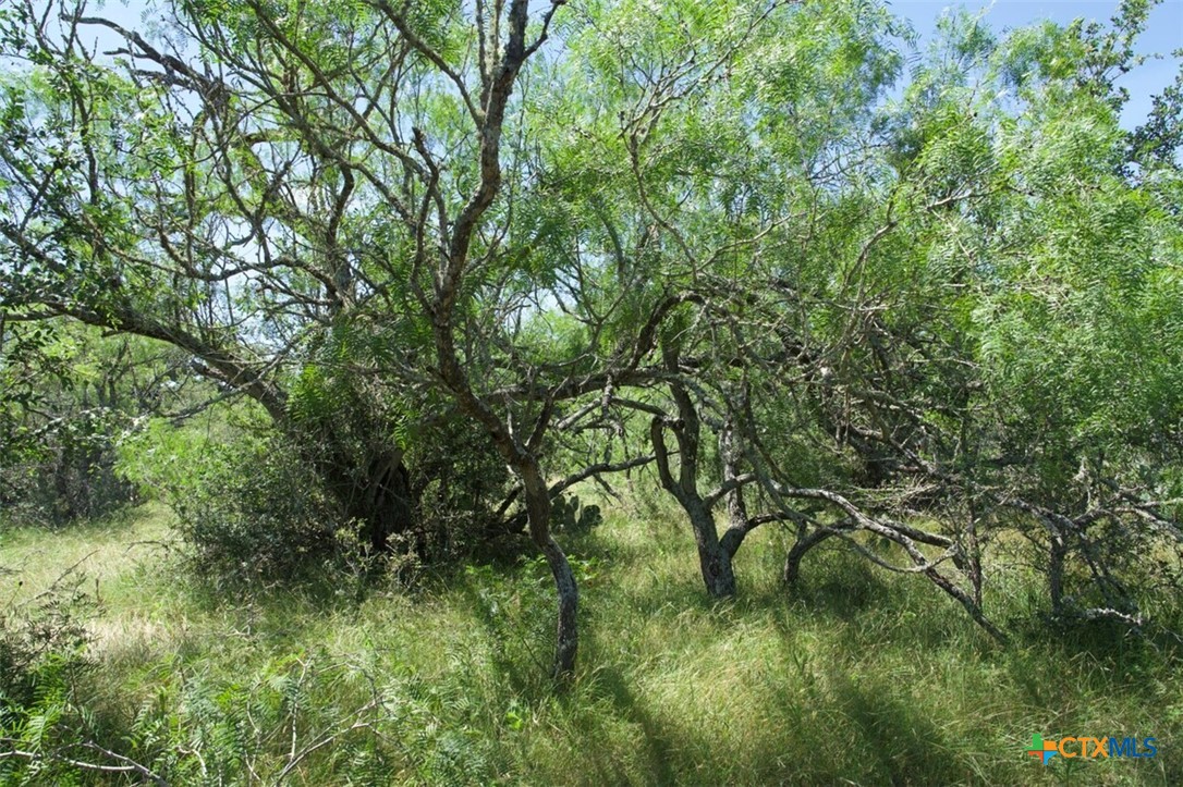 Tbd Taylorsville Road Property Photo 24