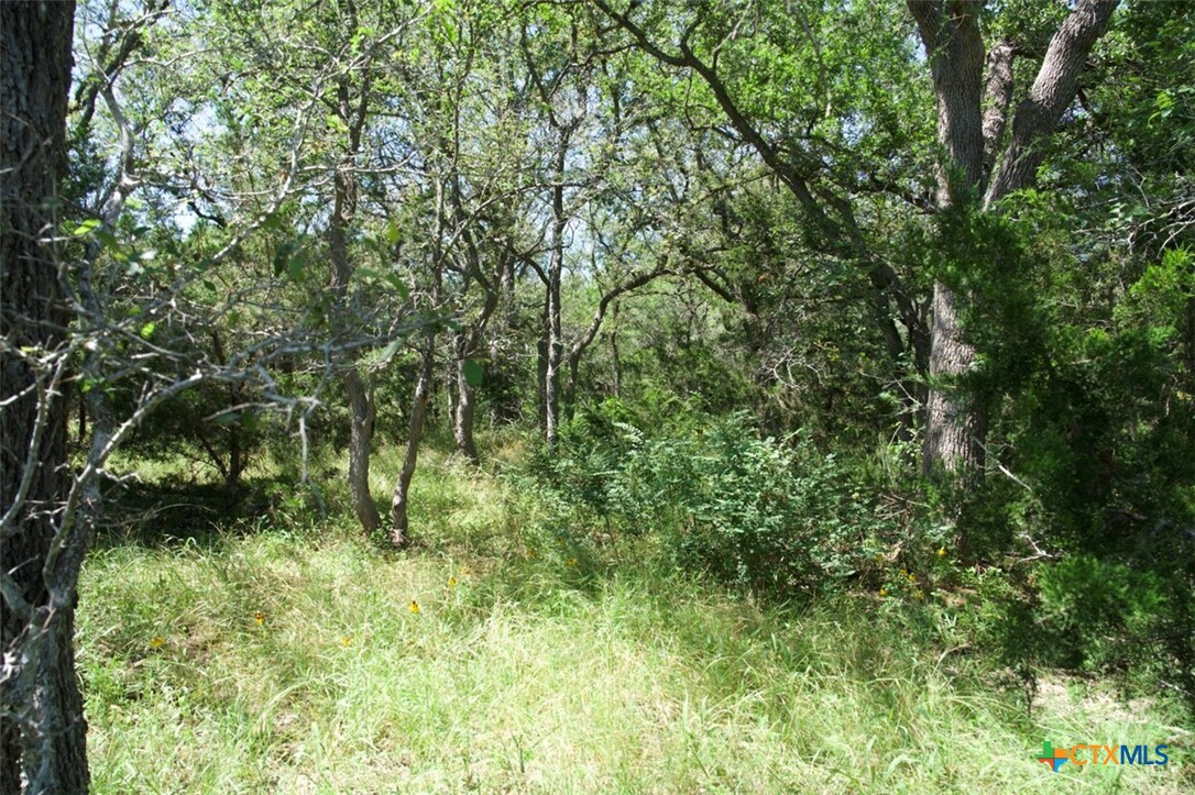 Tbd Taylorsville Road Property Photo 25