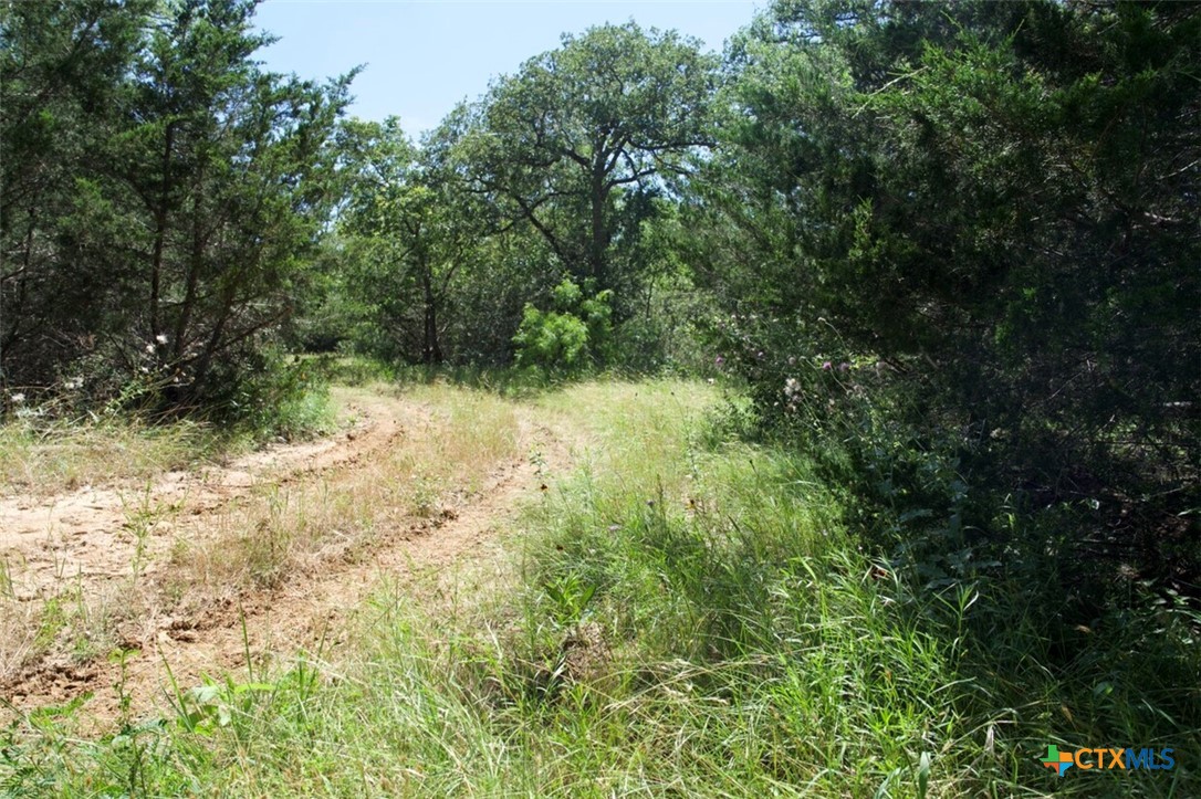 Tbd Taylorsville Road Property Photo 26