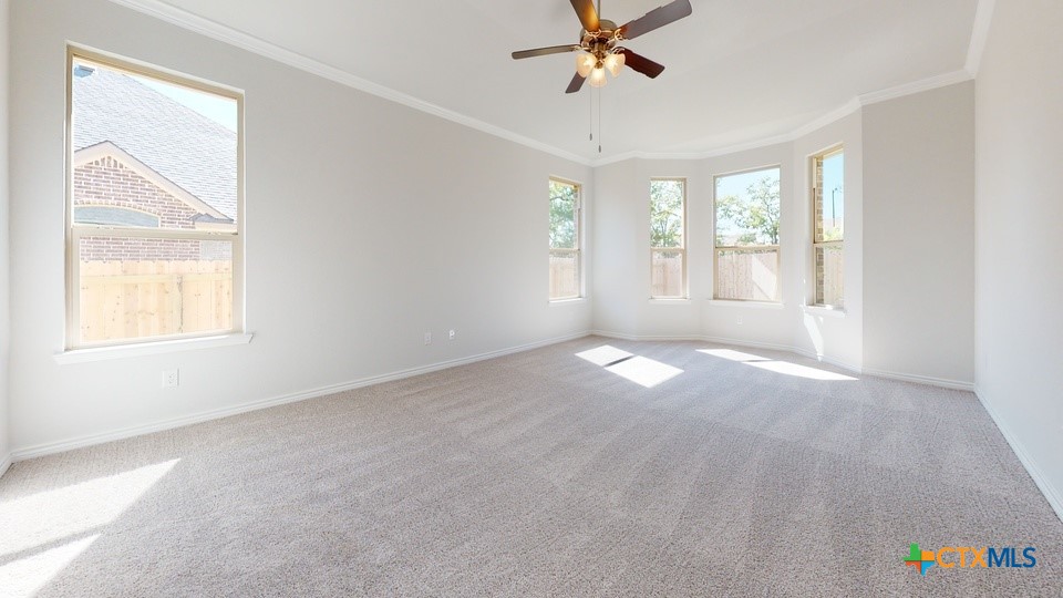 14018 Carsten Loop Property Photo 6