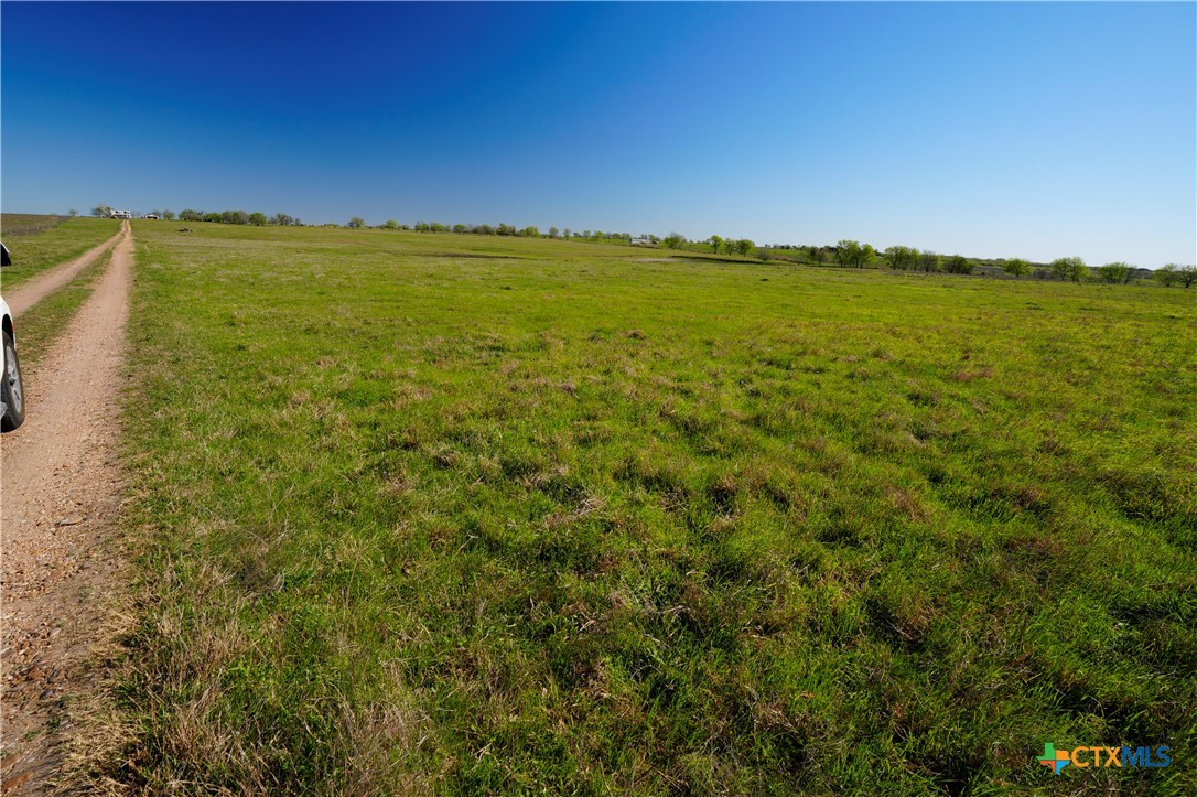 Tr 1 1011 Fm 956 Property Photo 4