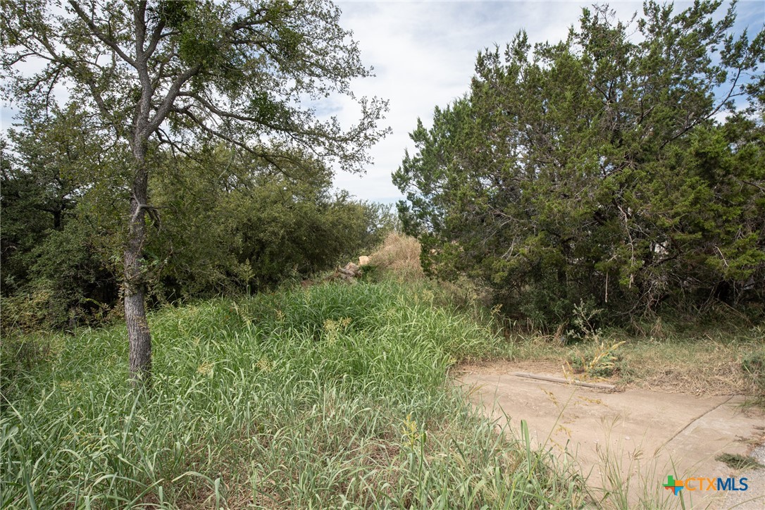 1108 Monterrey Oak Circle Property Photo 9