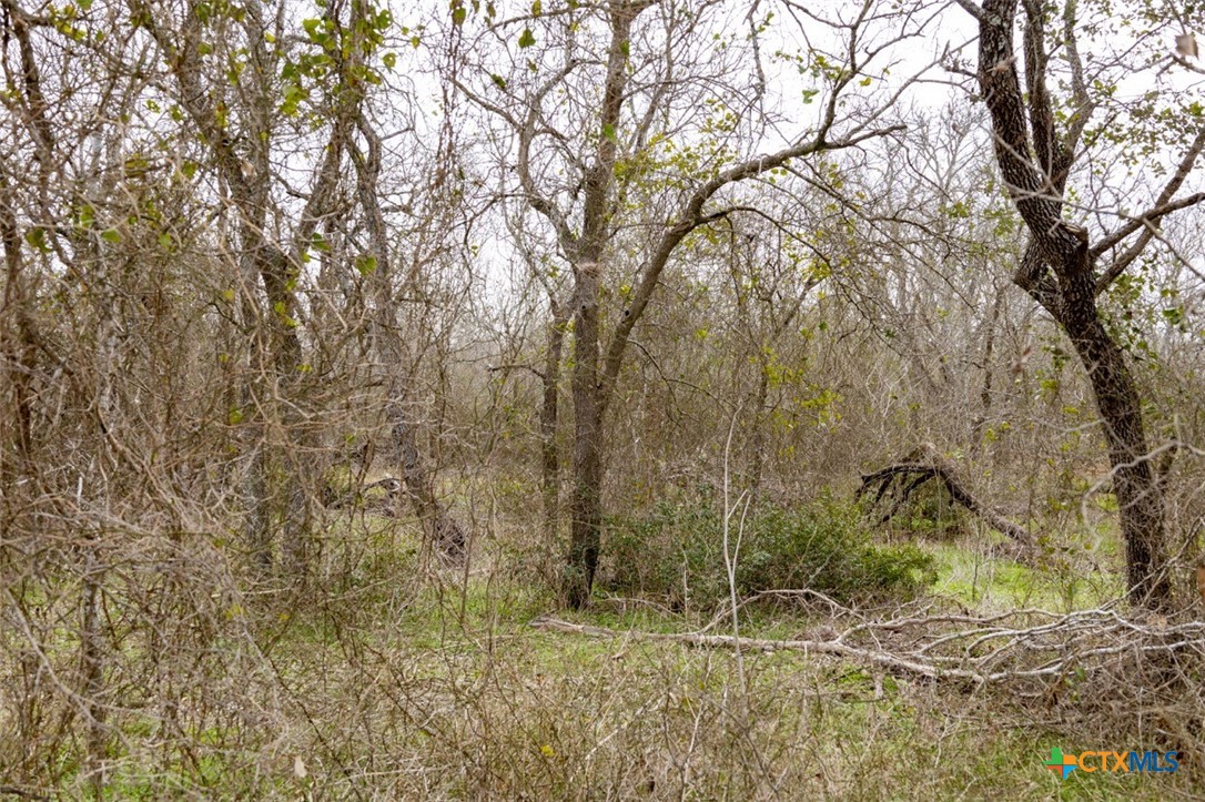 433 Union Hill Road Property Photo 4