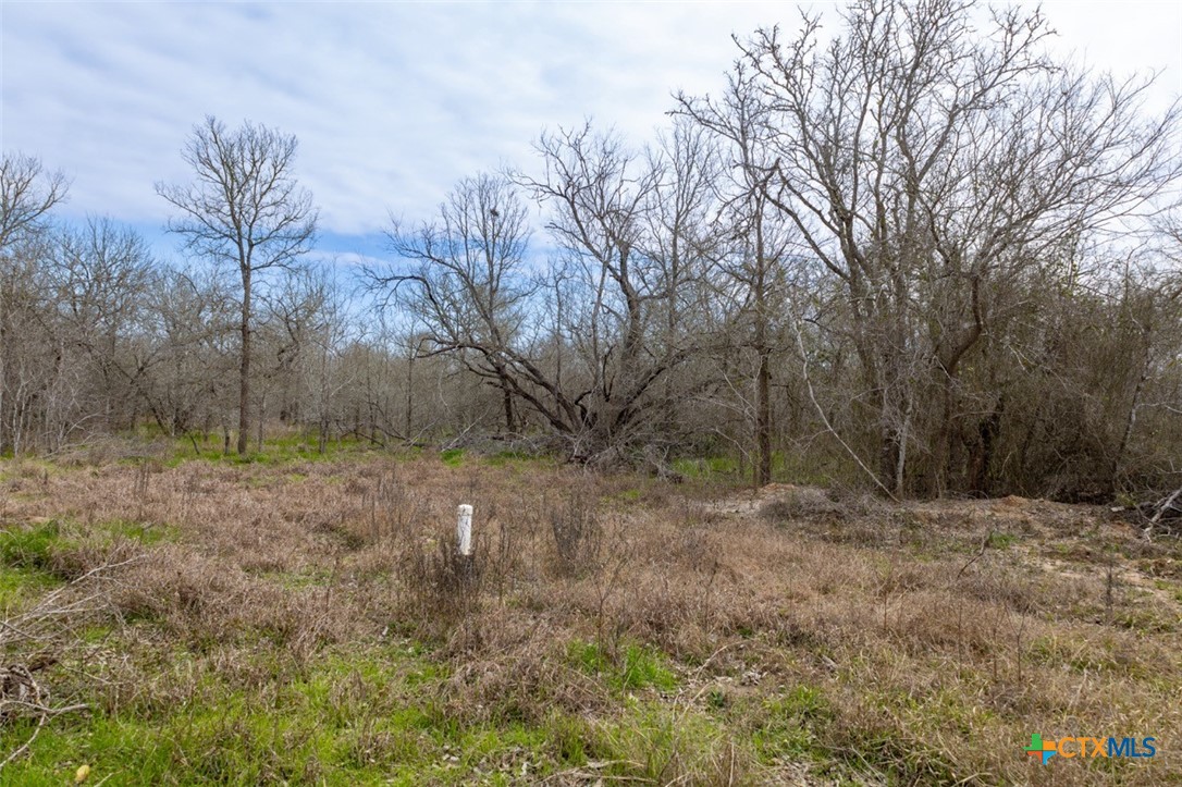 433 Union Hill Road Property Photo 10