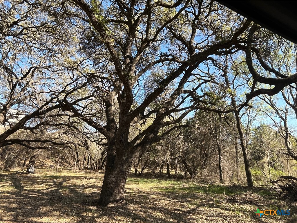 0 Tbd Us-183 Property Photo
