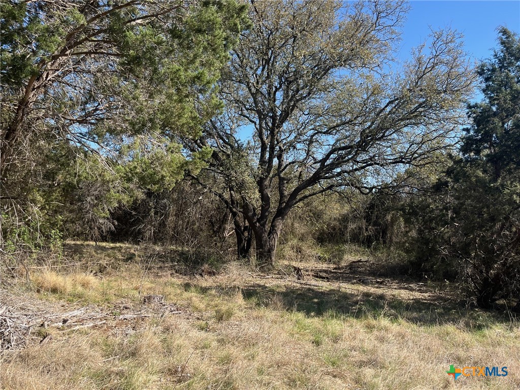 0 Tbd Us-183 Property Photo 1
