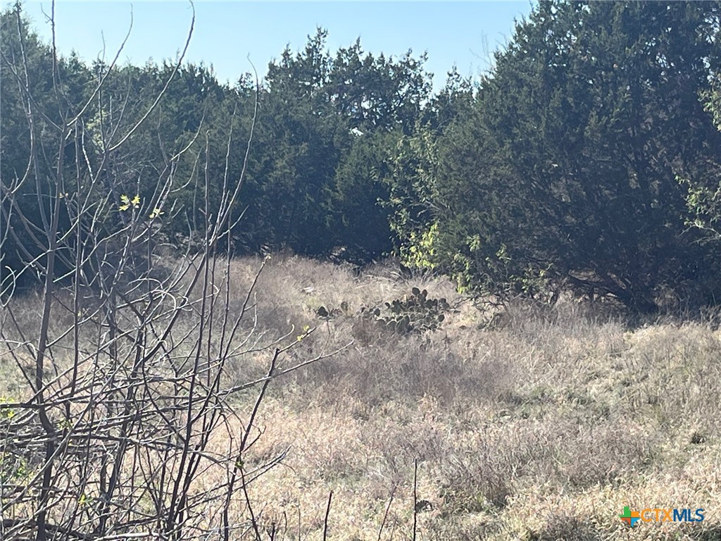 0 Tbd Us-183 Property Photo 17