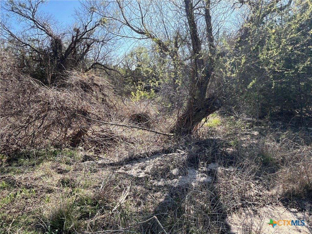 0 Tbd Us-183 Property Photo 19