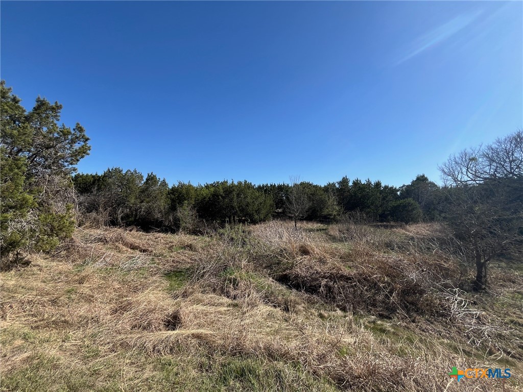 0 Tbd Us-183 Property Photo 23