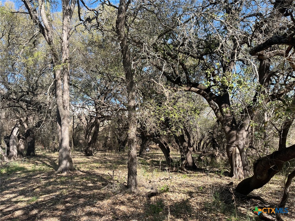 0 Tbd Us-183 Property Photo 25