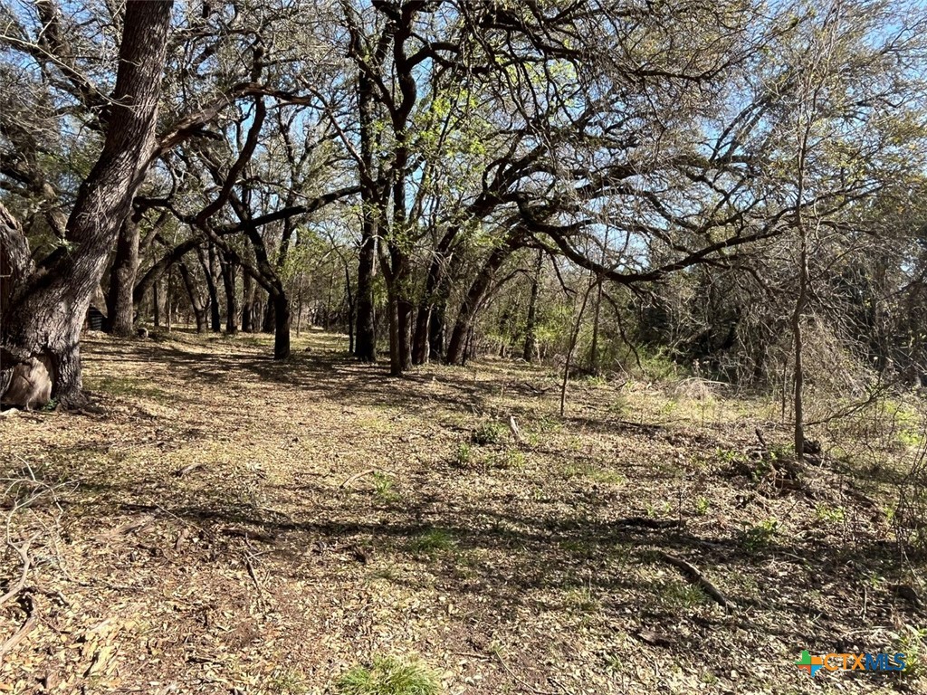 0 Tbd Us-183 Property Photo 29
