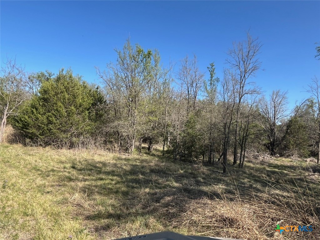 0 Tbd Us-183 Property Photo 34