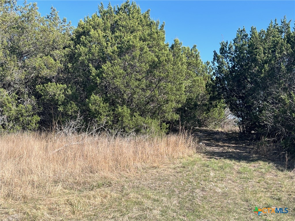 0 Tbd Us-183 Property Photo 39
