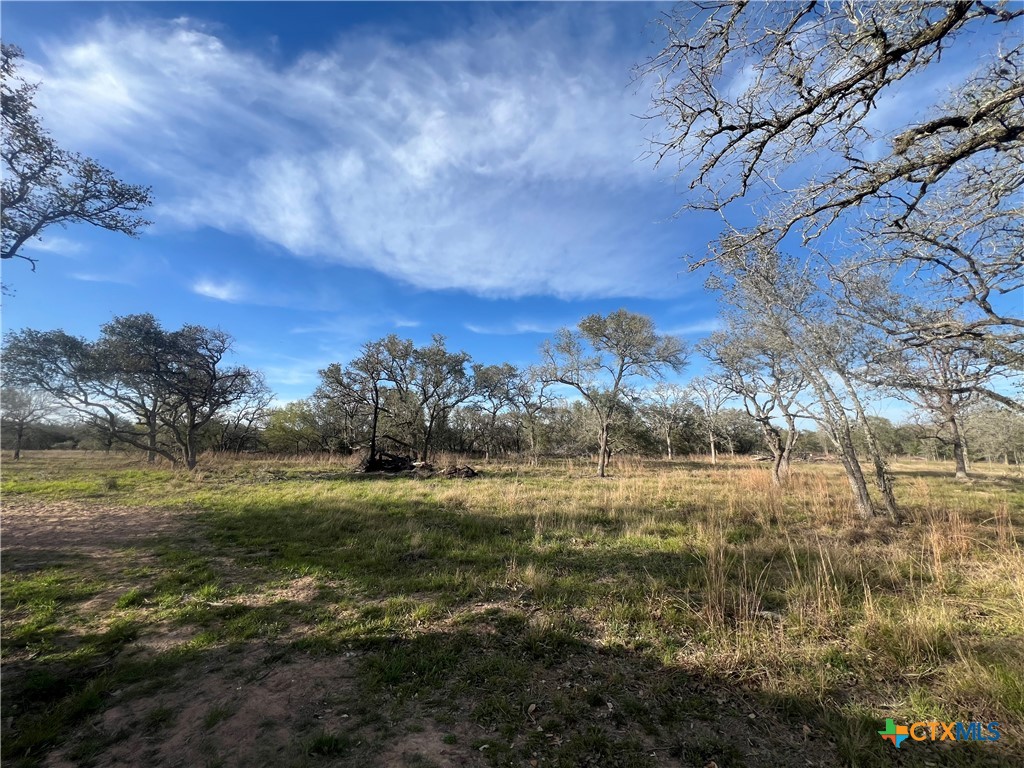 242 Private Road 1068 Property Photo 6