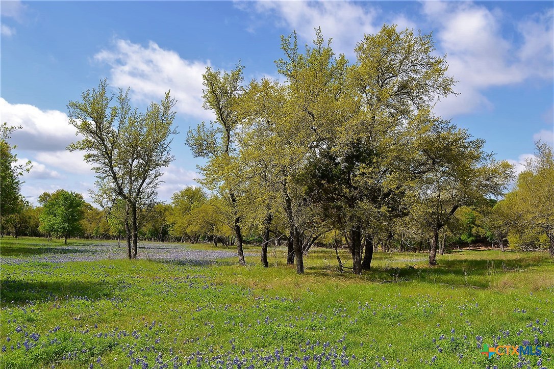 1290 County Road 4765 Property Photo