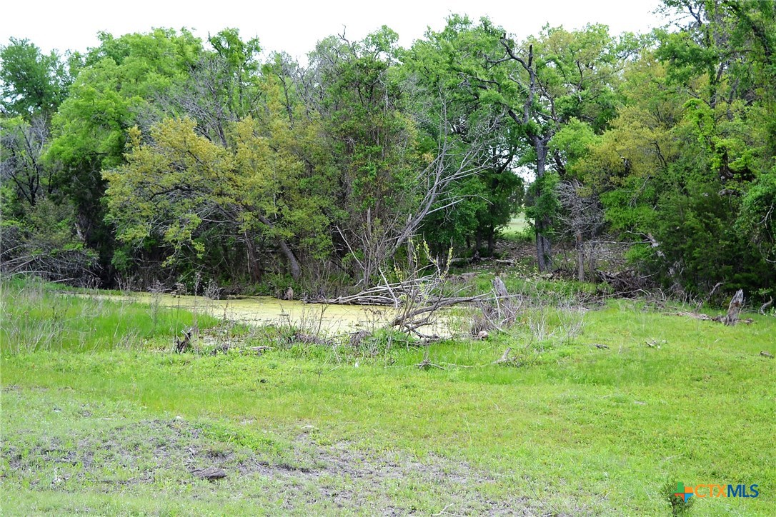 1290 County Road 4765 Property Photo 32