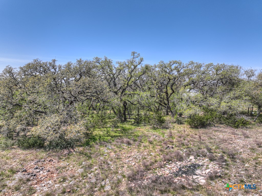 309 Oakwood Loop Property Photo 44