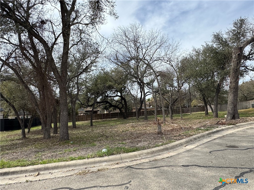 6520 Las Colinas Drive Property Photo 2